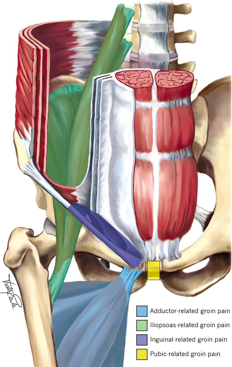 Groin Pain In Athletes Therapists In Galway Therapists In Galway groin-pain-in-athletes-therapists-in-galway-therapists-in-galway