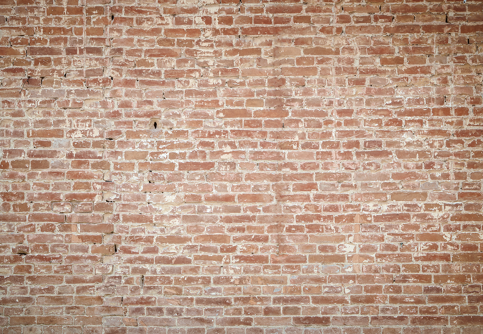 Brick Wall. Brick Wall Texture. Brick Wall Background. Bricks Wa